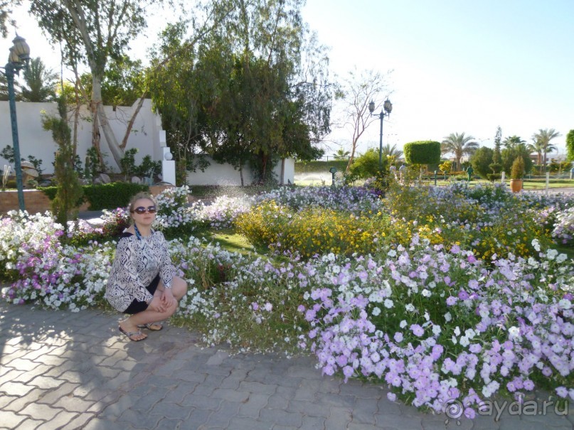 Разочарование от отеля