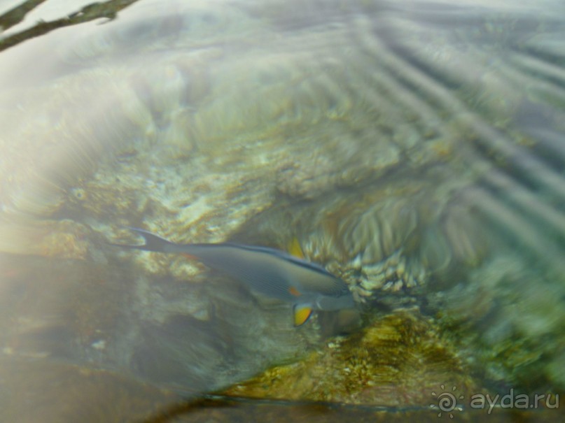 Разочарование от отеля