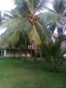 Полный релакс