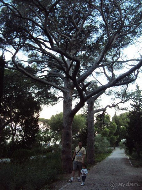 Все понравилось!