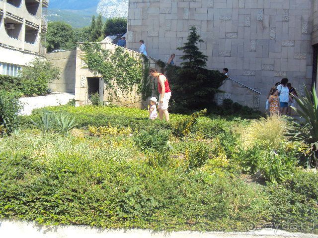 Все понравилось!