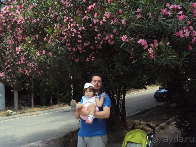 Все понравилось!