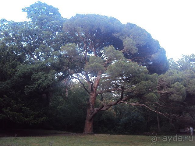 Все понравилось!