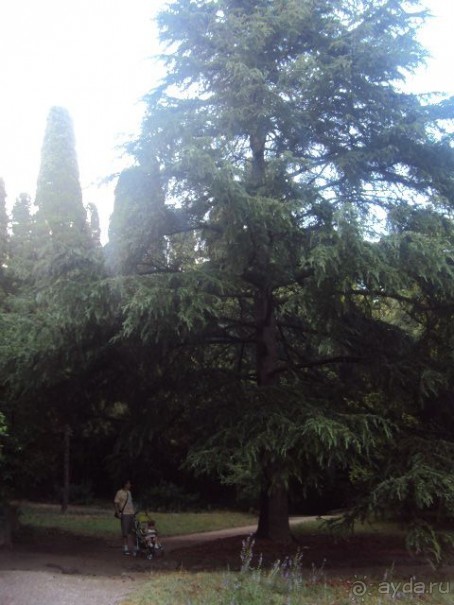 Все понравилось!