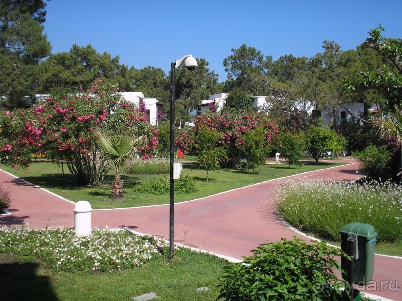 фото Emelda Sun Club