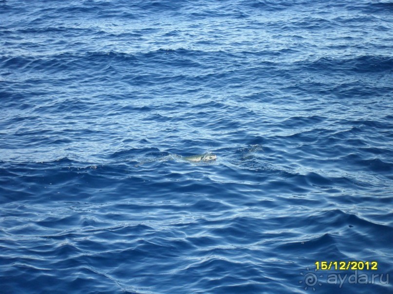 Я довольна!