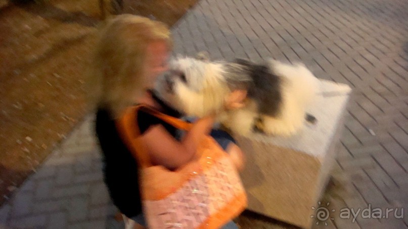 Нормальный отель