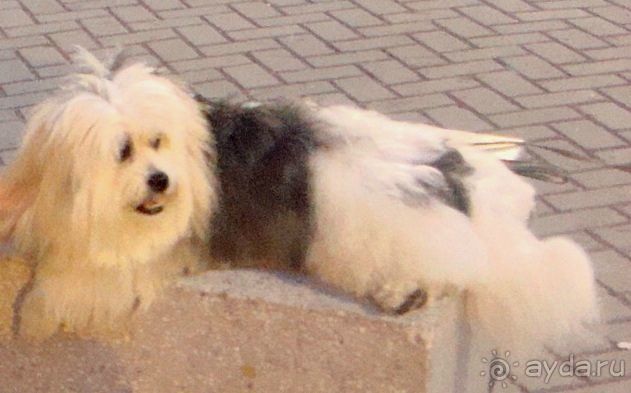 Нормальный отель