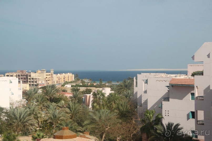 Отель для любителей подводных красот!