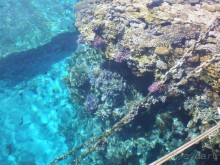 фото Melton Tiran Resort 