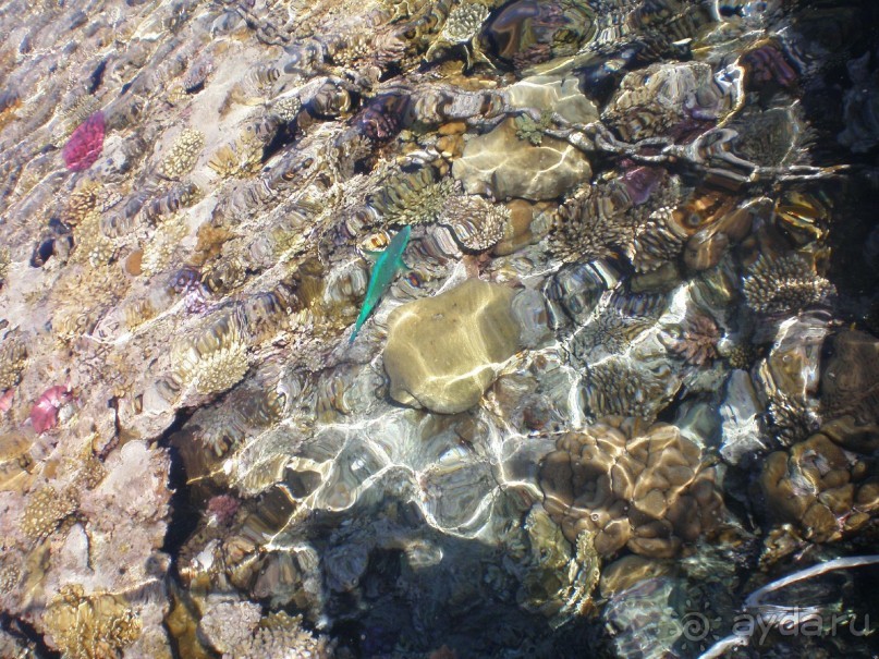 Спасибо всем за отличный отдых!!!!!!!!!!!!!!!!