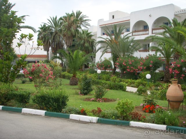 территория отеля