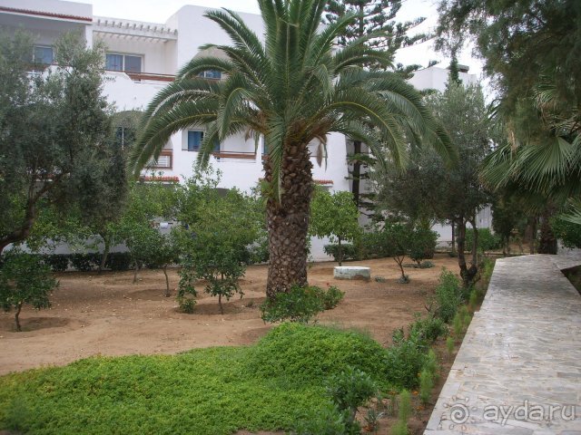 территория отеля Тунис. Ossidental Abou Sofiane