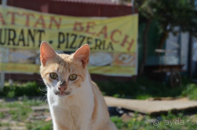 Какова цена- таково и качество!
