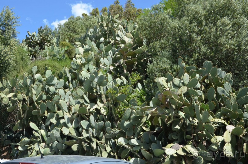 Какова цена- таково и качество!