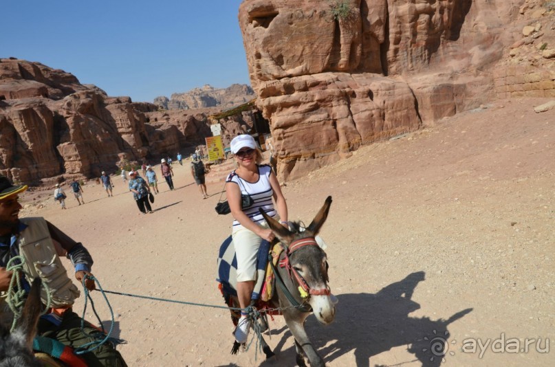 Альбом отзыва "На экскурсии с местными туроператорами - не опасно и выгодно!"