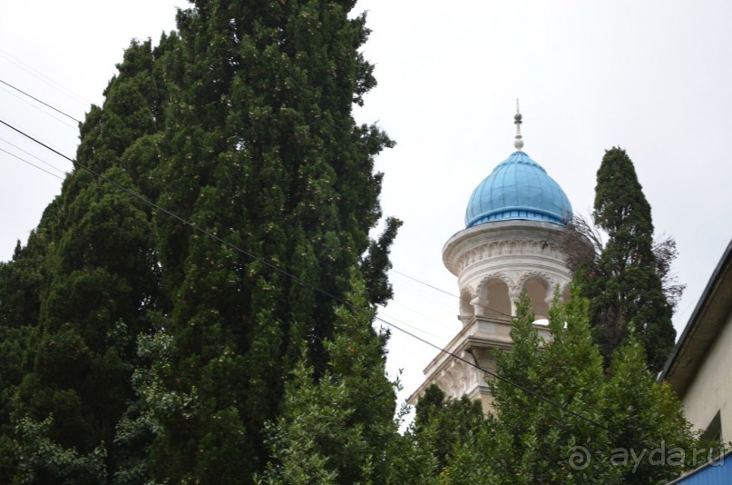 Замечательный отдых в Ялте (Крым)