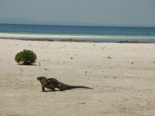 Отличный отдых, только перелёт уж очень долгий!