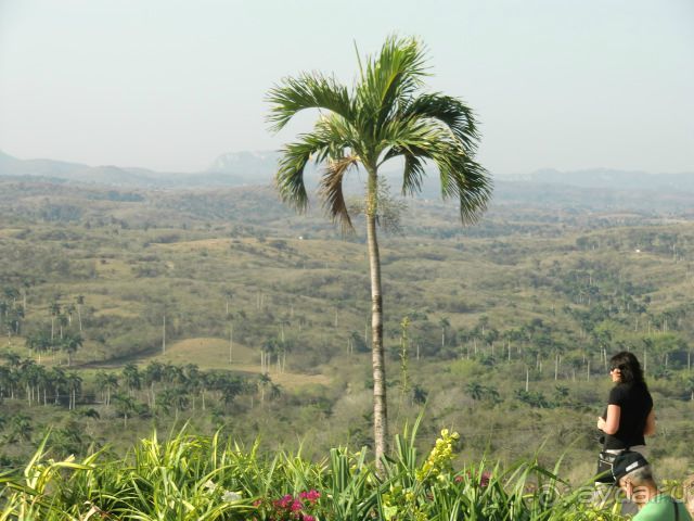 Отличный отдых, только перелёт уж очень долгий!