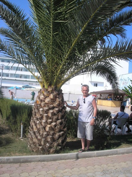 Путешествие (дополнение 1) зануды - ворчуна в Турцию