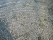 "Тысяча и одна ночь"