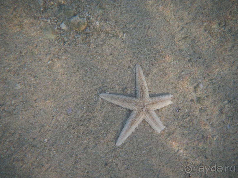 "Тысяча и одна ночь"