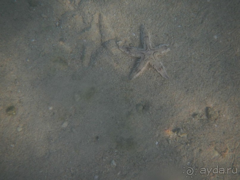 "Тысяча и одна ночь"