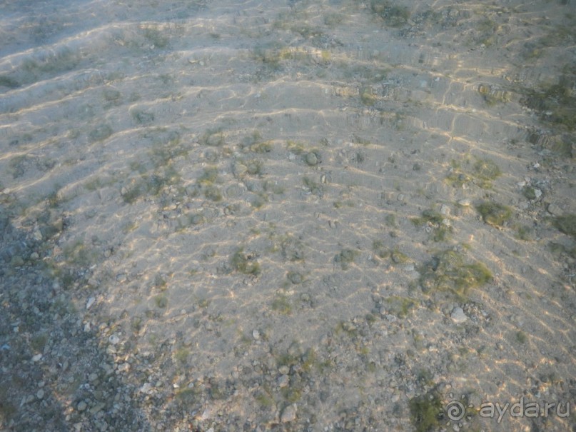 "Тысяча и одна ночь"