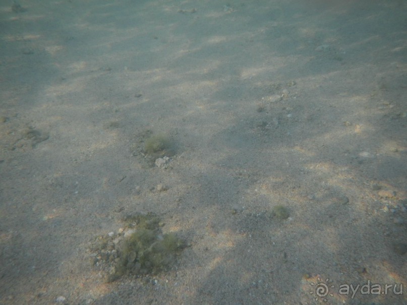 "Тысяча и одна ночь"