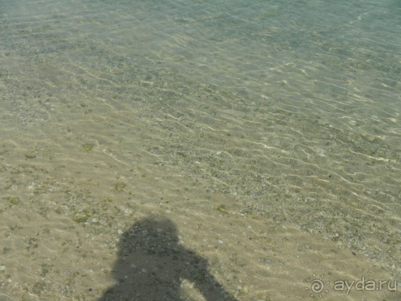 "Тысяча и одна ночь"