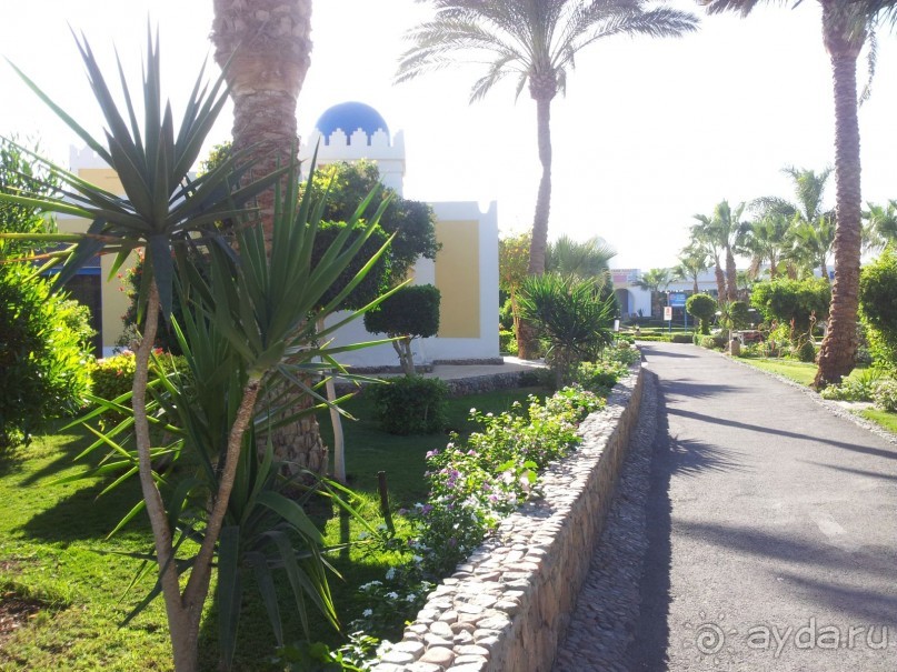 Из - 27 в +25!  Рай для северян и россиян вообще!