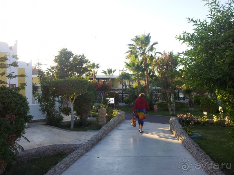 Из - 27 в +25!  Рай для северян и россиян вообще!