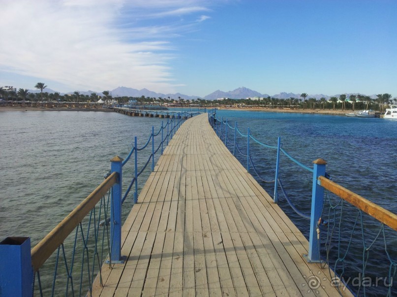 Из - 27 в +25!  Рай для северян и россиян вообще!