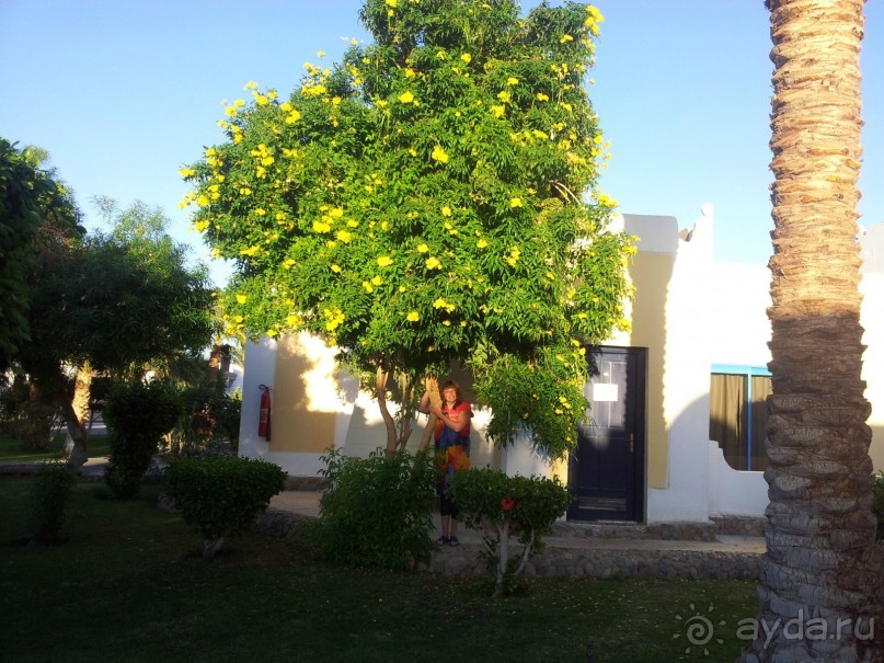 Из - 27 в +25!  Рай для северян и россиян вообще!