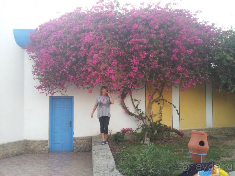 Из - 27 в +25!  Рай для северян и россиян вообще!