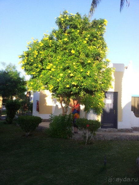 Нам с мужем очень понравился зимний отдых в ЛиилиЛэнде!