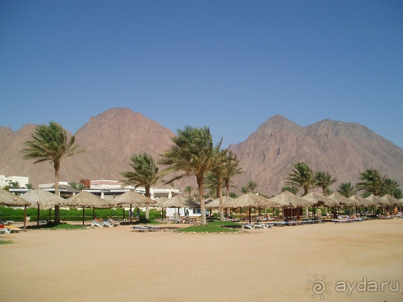 спастись от суеты