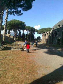 очень теплый прием