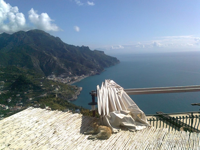 очень теплый прием