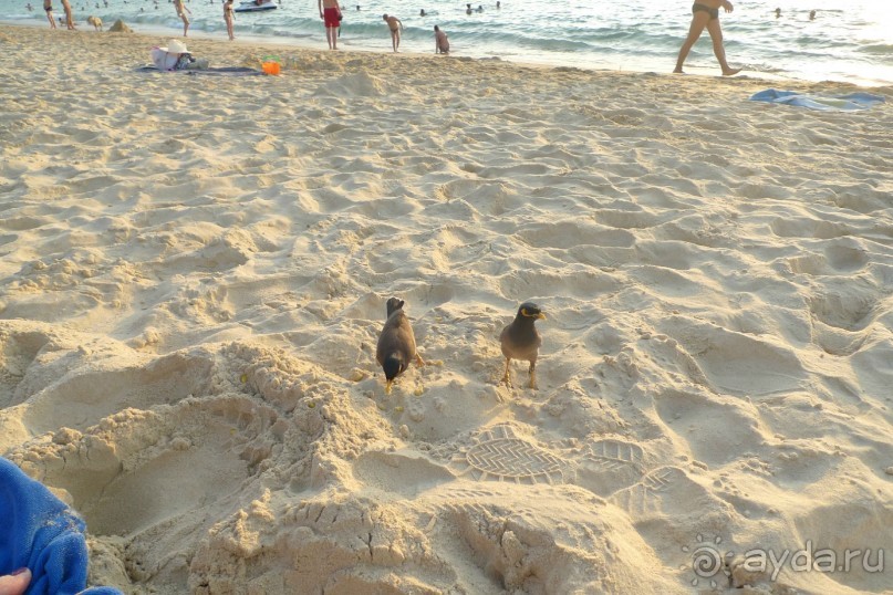 могло быть и лучше