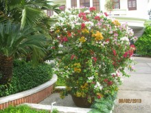 фото Hawaii Resort Phu Quoc (ex. Thien Hai Son)
