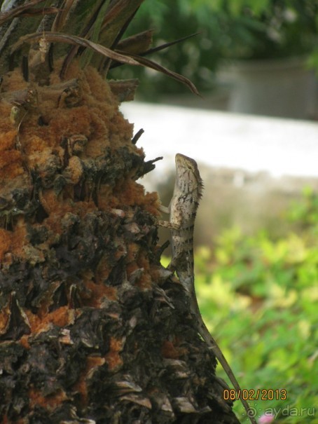 Фукуок(Вьетнам),отель Thien hai son 2013