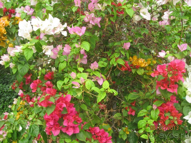 Фукуок(Вьетнам),отель Thien hai son 2013