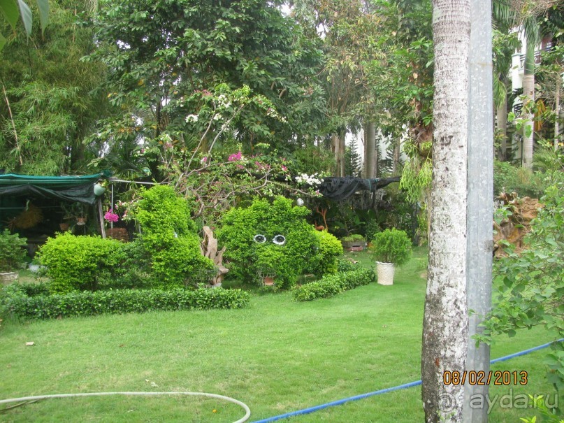 зеленый уголок 