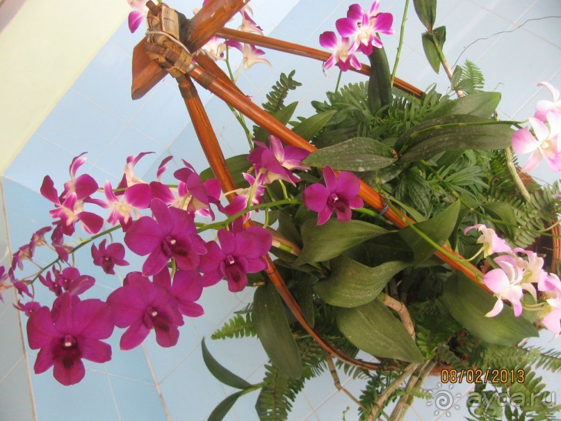 Фукуок(Вьетнам),отель Thien hai son 2013