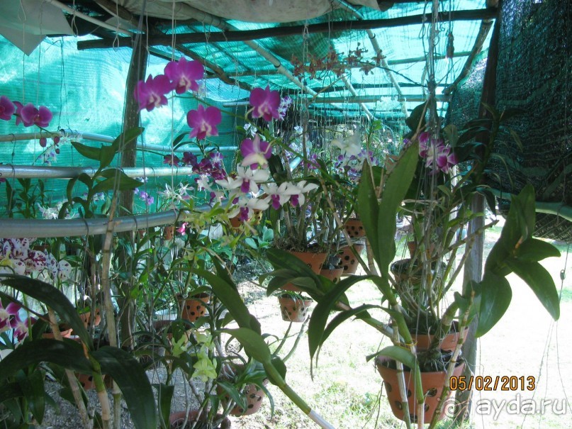 Фукуок(Вьетнам),отель Thien hai son 2013