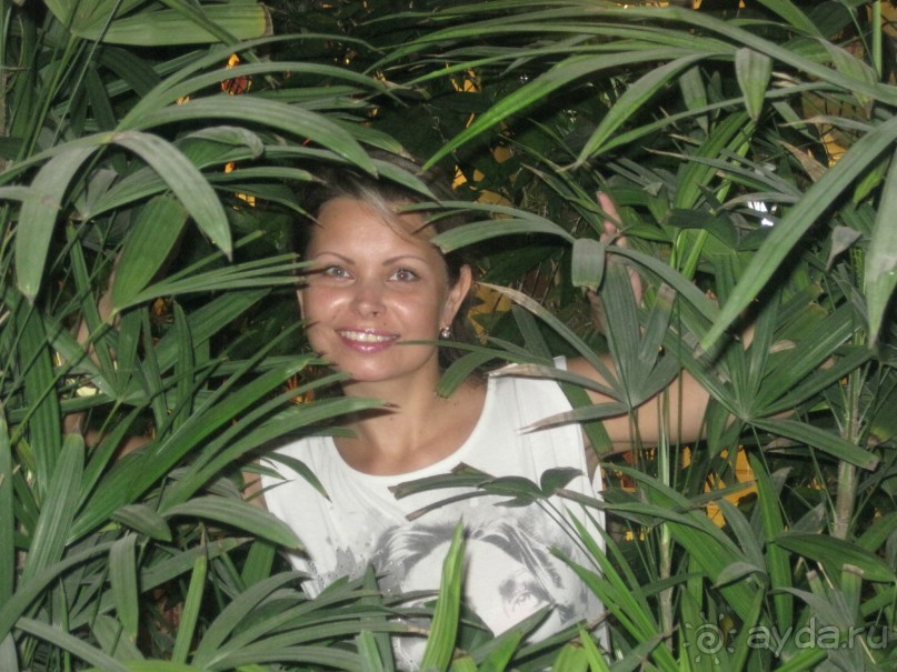 Весь отель утопает в зелени. Цветы и растения даже в ванной комнате и на балконах. 