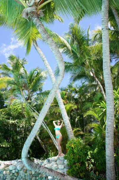 Мой оазис счастья 