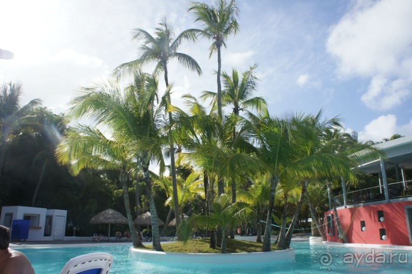 Оазис по среди бассейна 