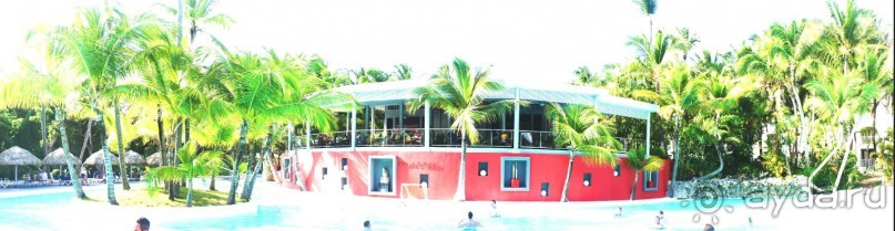 Бар и бассейн 